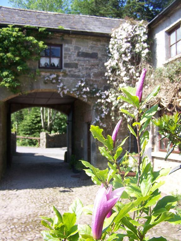 Ballinacourty House B&B Tipperary Exterior foto