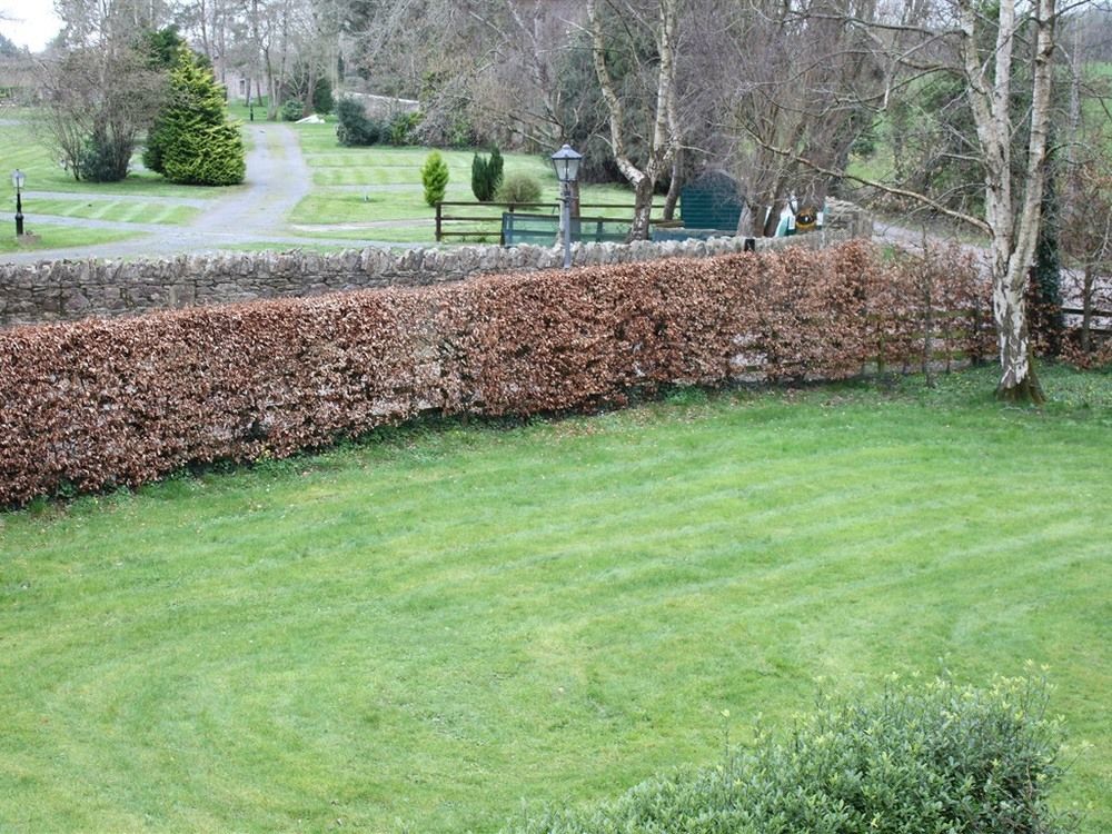 Ballinacourty House B&B Tipperary Exterior foto